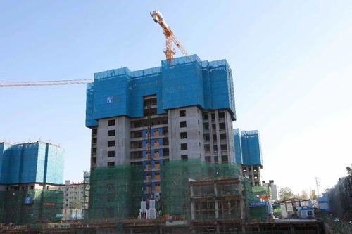 让高楼建设安全 爬楼 ,建机公司还为它买了保险