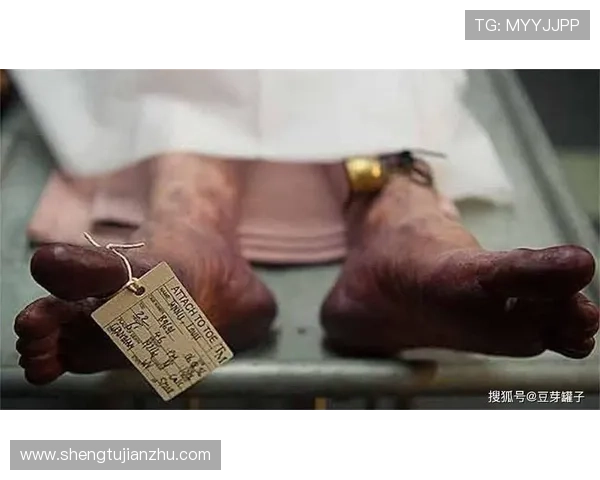 凝结法国十三天旅程的命运交织悬疑情感剧中的爱恨抉择 凝结法国十三天旅程的命运交织悬疑情感剧中的爱恨抉择