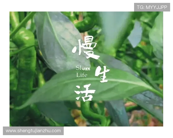 跟随三时三餐第三季再探乡野慢生活的温暖治愈日常物语