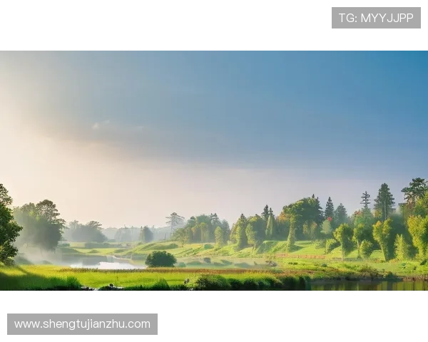 踏入“神秘森林”：一场关于未知与寻真的心灵之旅