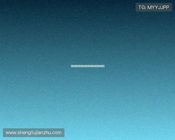 灵动档案：解锁智慧的无限可能，点亮你的数字生活